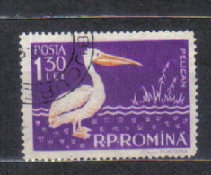 Romania Mi 1691 Water Birds Pelican Pelecanus Onocratalus 1957 FU - Pelicans