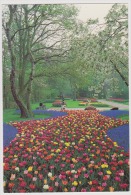 Lisse-Keukenhof-uncirculated,perfect Condition - Lisse