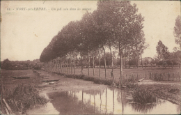 44 NORT SUR ERDRE / Coin Dans Les Marais / - Nort Sur Erdre