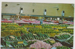 Aalsmeer-bloemenveiling-used,perfect Shape - Aalsmeer