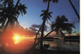 Coucher De Soleil Dans Les Iles - Tahiti