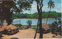 French Polynesia - Punaauia - Society Islands - Tahiti - Traditional Houses - Animated - 2 Scans - Tahiti