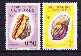 COMORES  1962  YT 19 -20   **   COQUILLAGES   TB - Nuevos