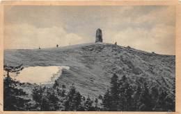 BF34035 Feldberg Schwarzwald Seebuck  Germany Front/back Scan - Feldberg