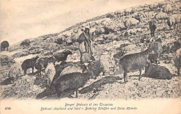 ¤¤  -  TURQUIE  -  Berger Bédouin Et Son Troupeau  -  Bédouin Shepherd And Herd  - Béduine Schäfer Und Seine Heerde - Turquie