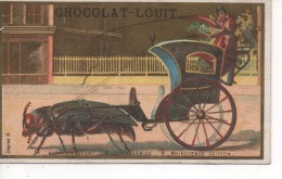 CHROMOS DORE - CHOCOLAT LOUIT - BUPRESTE GEANT,CANTHARIDE,RHINOCEROS GRIFFON - Louit