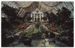 St Paul MN - Interior Of Conservatory At Como Park - C1960s Vintage Minnesota Postcard - St Paul