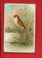 VERNON EURE BERTHUOT FILS  SERVICES TABLE PORCELAINE  CHROMO CALENDRIER SEMESTRIEL 1895  TYP ROUSSEAU OISEAU MARAIS - Formato Piccolo : ...-1900