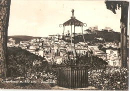 Delcampe - CAMPOBASSO - PANORAMA - EDIZIONE BROMOSTAMPA - 1963 - Campobasso