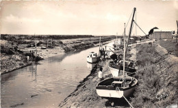 ¤¤  -   19  -   BOURGNEUF-en-RETZ   -    Le  Port   -  Bateaux De Pêche   -  ¤¤ - Bourgneuf-en-Retz