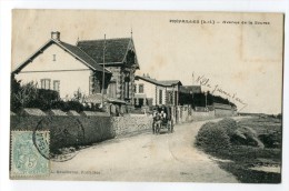 Ref 194 - PREFAILLES - Avenue De La Source (Jolie Carte Animée De 1905) - Préfailles