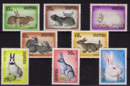 ALBANIA 1967 Rabbits MNH - Hasen