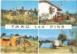 CPM 66 - Argelès Sur Mer - Taxo Les Pins - Camping Caravaning - Argeles Sur Mer
