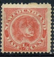 Newfoundland 1887 1/2 Cent Newfoundland Dog Issue #66 - 1865-1902
