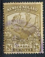 Newfoundland 1919 24 Cent Trail Of The Caribou Issue #125 - 1908-1947