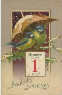 CPA OISEAUX Mésanges Sous Un Parapluie Souhaits Sincères Bonne Année 1909 - Oiseaux