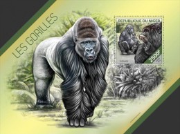 Niger. 2014 Gorillas. (211b) - Gorilla