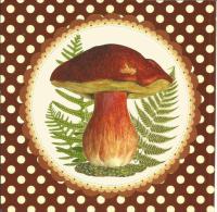 Carte Illustrée Champignon / Cèpe, Bolet, Fougères - Mushrooms