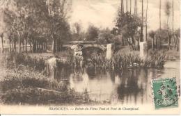 BRANGUES ,RUINES DU VIEUX PONT ET PONT DE CHAMPIAUD,PERSONNAGE  REF 40327 - Brangues