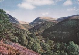 Lairic Chru, Inverness-shire, Scotland - Valentine's C199 Unused - Inverness-shire