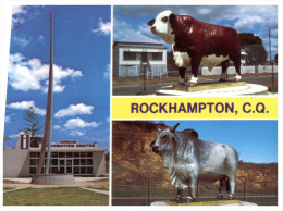 (456) Australia - QLD - Rockhampton Big Bulls - Rockhampton