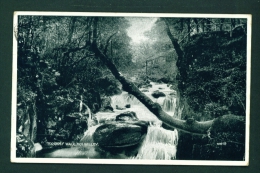 WALES  -  Dolgelley  Torrent Walk  Used Postcard As Scans (two Mount Tabs) - Merionethshire