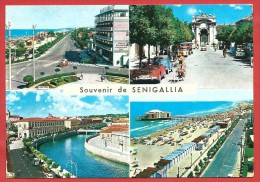 CARTOLINA VG ITALIA - SENIGALLIA (AN) - Souvenir - Panorama - Vedutine - 10 X 15 - ANNULLO 1973 - Senigallia