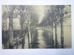 ANDRESY  (Yvelines)  :  Innondations De  1910  -  Avenue Des  MARRONNIERS   - Andresy