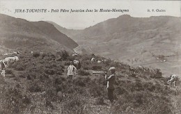 CARTE POSTALE ORIGINALE ANCIENNE : JURA  PETIT PATRE JURASSIEN DANS LES HAUTES MONTAGNE  VACHES  ANIMEE  JURA (39) - Allevamenti