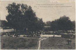 CPA Militaria - Campagne D'Orient 1914-1917 Parc à Bestiaux Pour Le Corps Expéditionnaire - War 1914-18