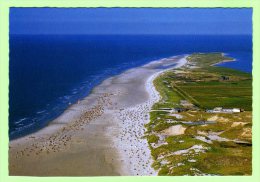 Amrum - Strand Und Dünen In Norddorf Richtung Odde - Nordfriesland