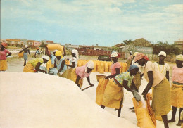 Lobito - Salinas - Angola - Ethnique - Ethnic - Mœurs - África