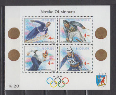 NORVEG      1991      BF    N°   16            COTE    10 € 00 - Blocs-feuillets