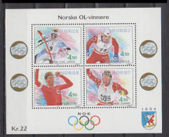 NORVEG      1993      BF    N°   19            COTE    10 € 00 - Blocks & Kleinbögen