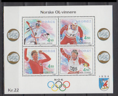 NORVEG      1993      BF    N°   19            COTE    10 € 00 - Blocs-feuillets