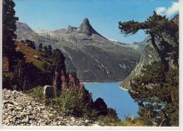 VALS - ZERVREILA, Stausee M. Tervreilahorn, Panorama, Alpin    1976 - Vals