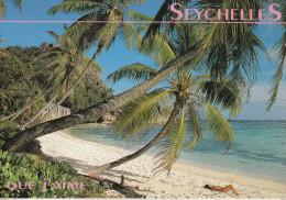 Seychelles - Plage De Sable Fin, Cocotiers, Soleil, De Quoi Rêver - Seychellen