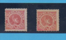 TERRE-NEUVE- Yvert N° 39 + 39a,  Rouge + Vermillon - 1865-1902