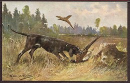 CP FANTAISIE / SCENE DE CHASSE PAR AUGUST MÛLLER MUNCHEN / CHIEN UN FAISAN DANS SA GUEULE, ENVOL DE LA FAISANE - Müller, August - München