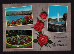 CPM Multi-vues, Genève (Suisse), Années 1950 - Exotic Garden