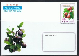 NORTH KOREA 2014 MEDICAL PLANTS AEROGRAM MINT - Piante Medicinali