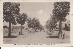 BUSSIERE-POITEVINE (Haute-Vienne) - Champ De Foire - Bussiere Poitevine