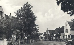 NORD PAS DE CALAIS - 59 - NORD - BRAY DUNES - CPSM PF NB -Rue Des Vanneaux - Bray-Dunes