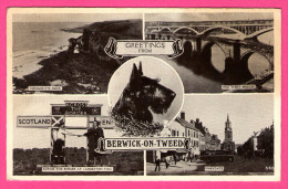 Greeting From Berwick-on-Tweed - Multivues - The Three Bridges - Needles Eye Rock - Across The Border At Lamberton Toll - Berwickshire