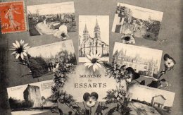 LES ESSARTS - Carte Souvenir - Les Essarts