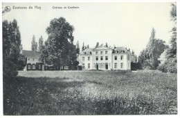 Carte Postale - Environs De Huy - Château De COUTHUIN - CPA   // - Héron