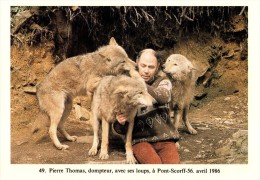 Pierre Thomas, Dompteur, Avec Ses Loups, à Pont-Scorff-56, 04/1986 - 500ex - Pont Scorff