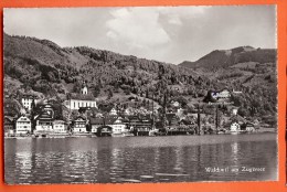 MAH-10  Walchwil Am Zugersee. Hotel Pension Aesch. Gelaufen In 1966 - Walchwil