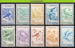 Naa1871 FAUNA VOGELS MEEUW STERN KIEVIT REIGER EEND DUCK HERON GULL TERN BIRDS VÖGEL AVES OISEAUX ROMANA 1991 PF/MNH - Collezioni & Lotti