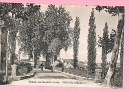 D18. BRINON-SUR-SAULDRE. AVENUE DE LA GARE. - Brinon-sur-Sauldre